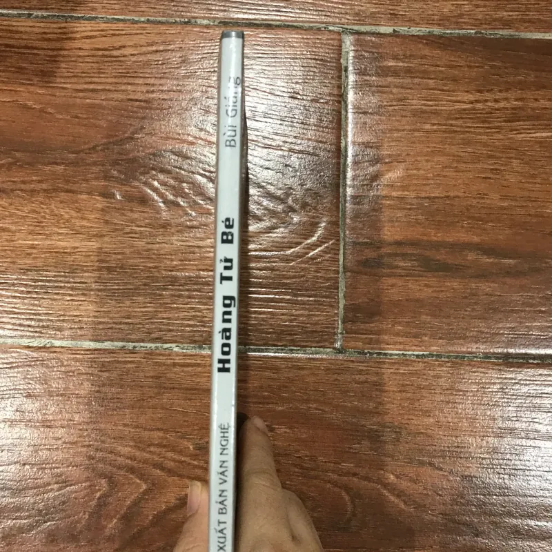 Hoàng Tử Bé - Bùi Giáng (6) 956850