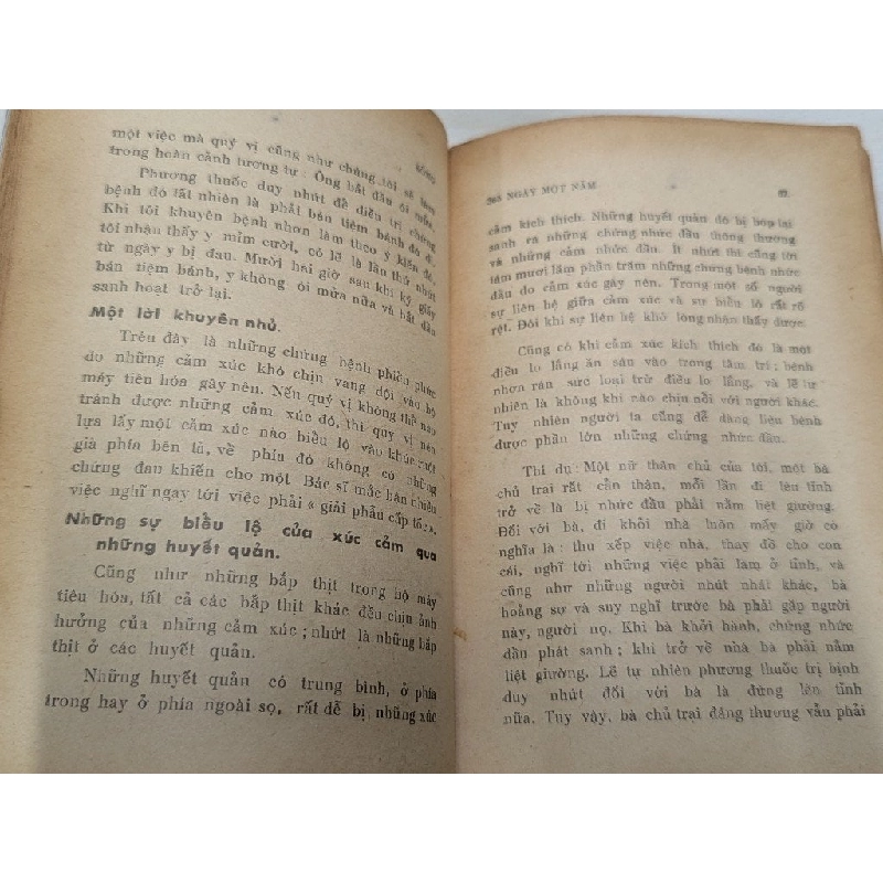 Sống 365 ngày một năm - John A.Schindler 545637