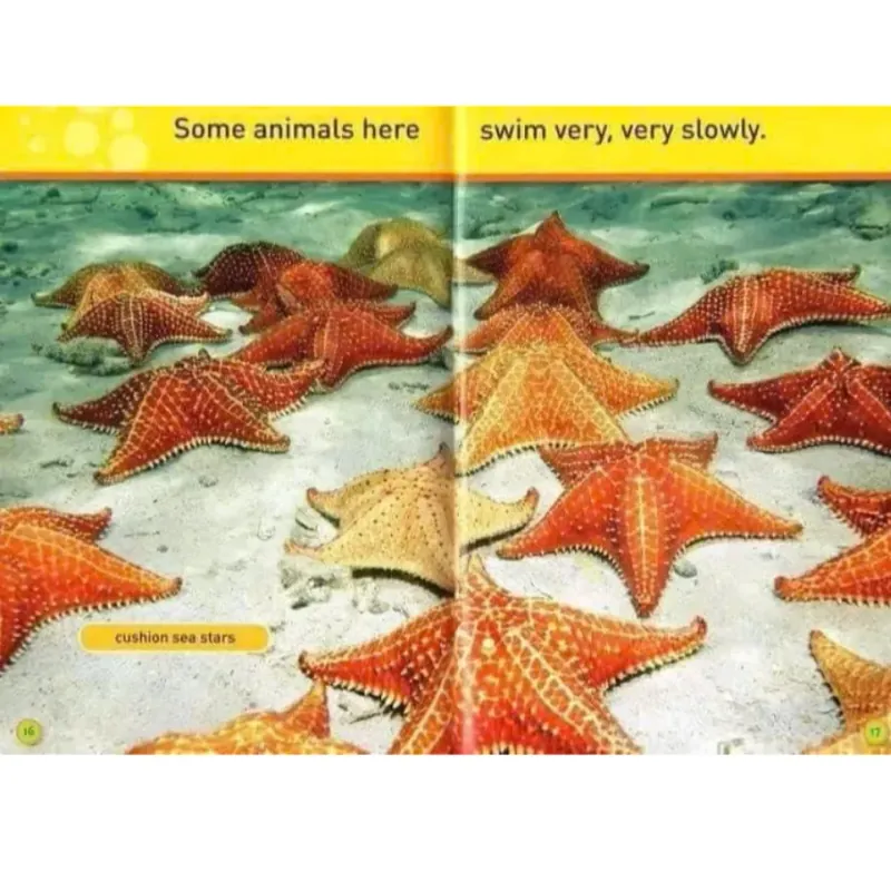 National Geographic kids - Level pre reader 30 cuốn giấy bóng đẹp tặng Audio 1000806