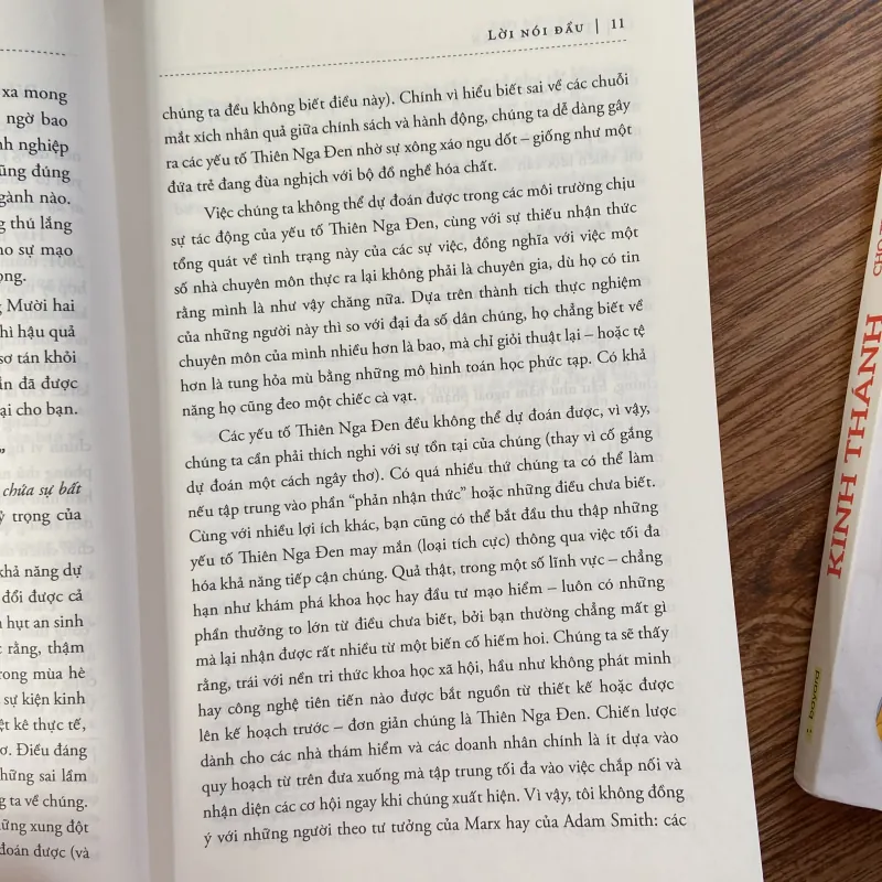 Thiên nga đen 970845