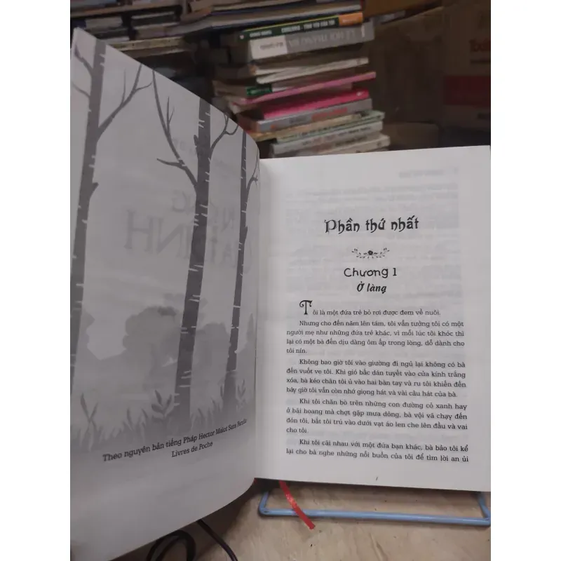 Sách: Không gia đình - TG: Hector Malot (B3) 1017886