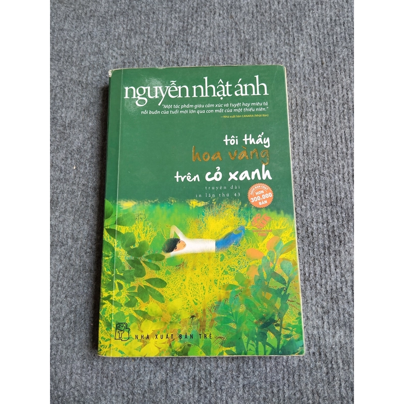 TÔI THẤY HOA VÀNG TRÊN CỎ XANH - NGUYỄN NHẬT ÁNH 552764