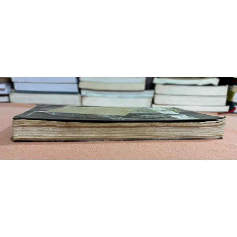 Nhật ký Đặng Thuỳ Trâm 🌊 599632