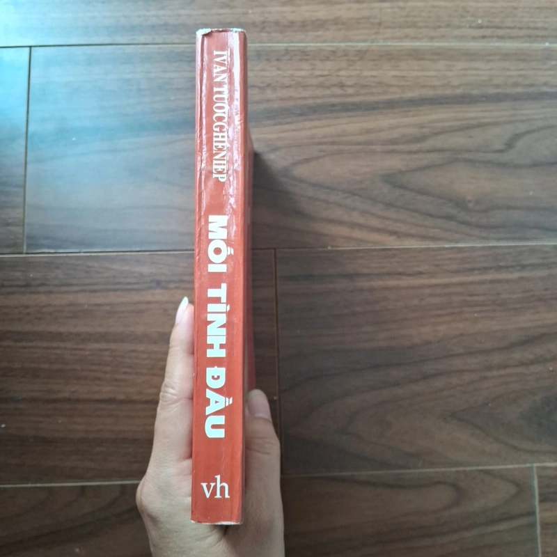 Mối tình đầu 506057