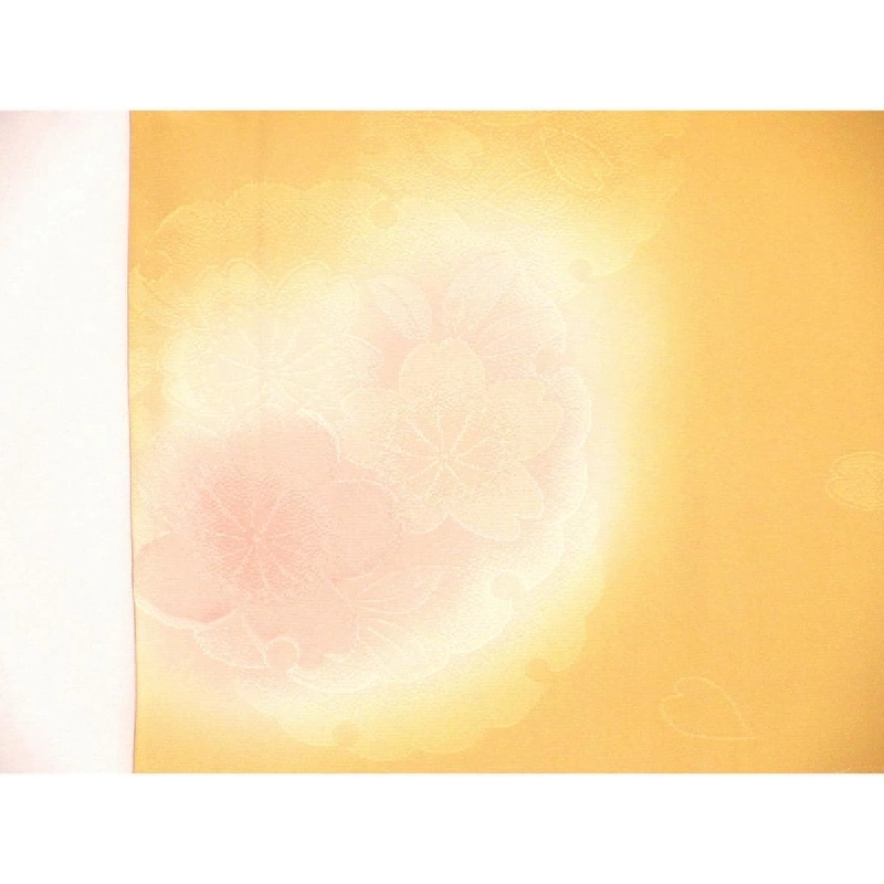 Áo dài truyền thống - Hàng hiệu Authentic 876073