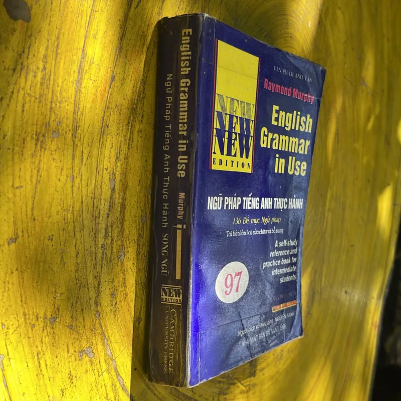 NGỮ PHÁP TIẾNG ANH THỰC HÀNH- ENGLISH GRAMMAR IN USE 702038