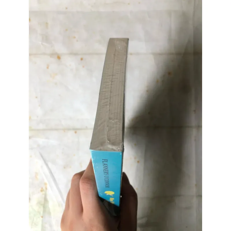 Mọi Thứ Lên Cao Đều Hội Tụ - Flannery O'Connor 783120