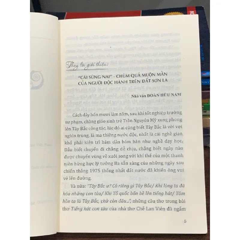 Cái Sừng Nai – Trần Nguyên Mỹ 572470