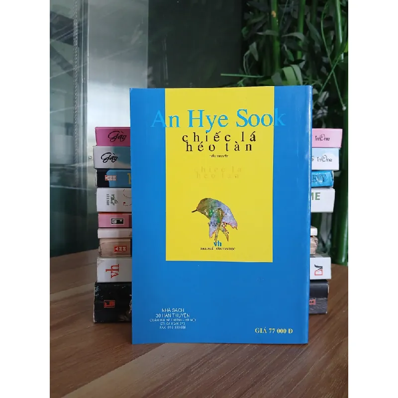 Chiếc lá héo tàn – An Hye Sook 558486