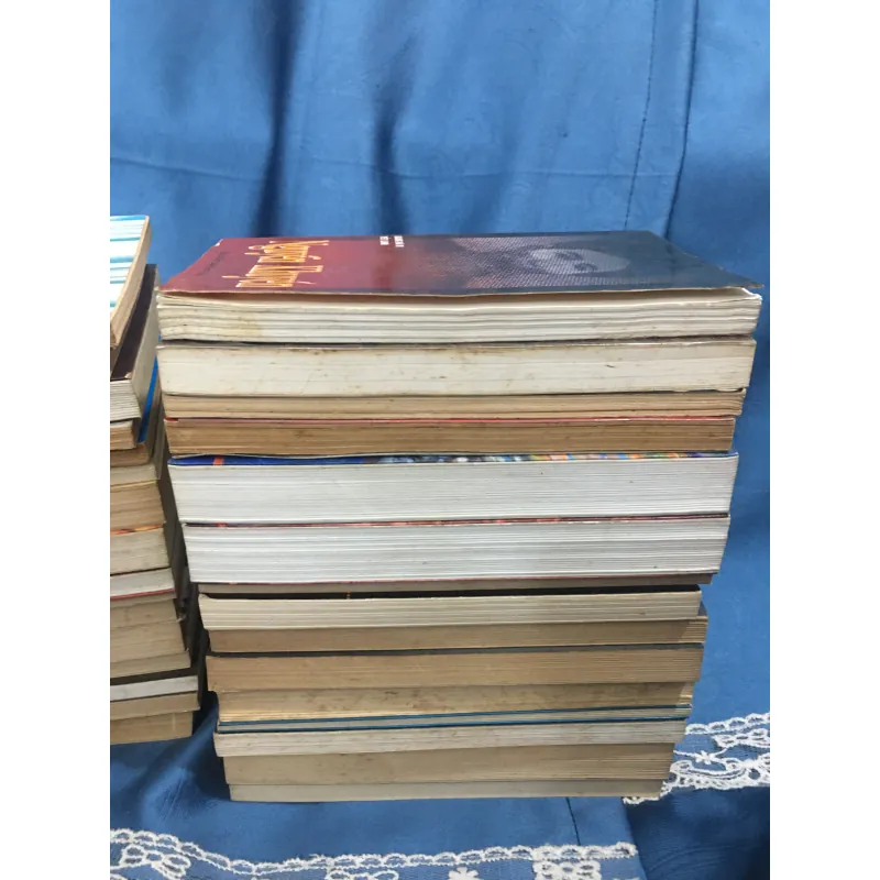 Bộ 31 cuốn tiểu thuyết lịch sử về danh nhân chí sĩ Việt Nam 995978