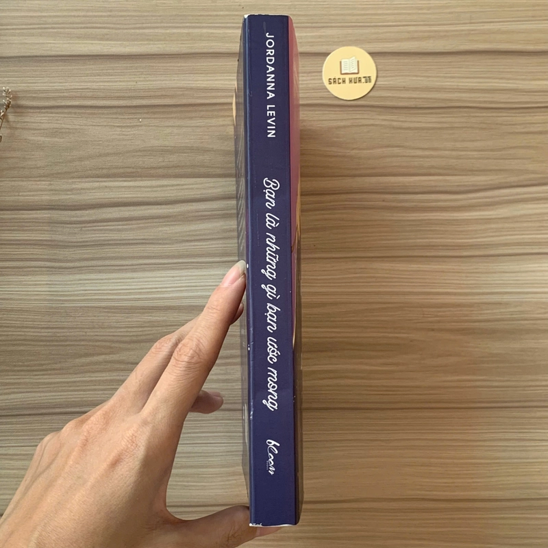Cuốn sách Bạn là những gì bạn ước mong – Jordanna Levin 540148