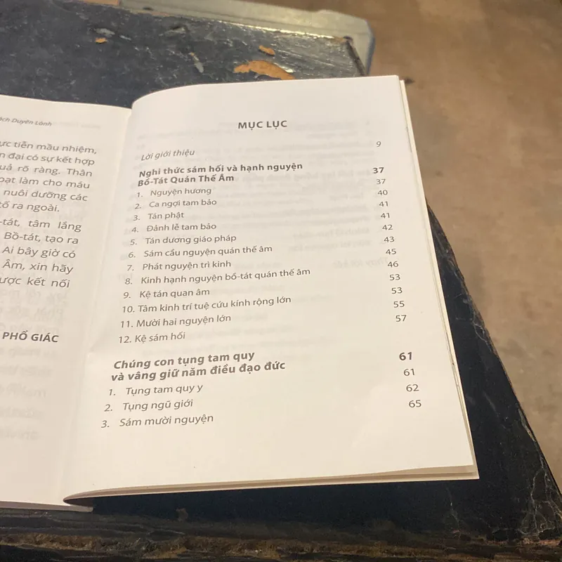 Hạnh Nguyện Bồ Tát Quán Thế Âm- Thích Đạt Ma Phổ Giác 692600