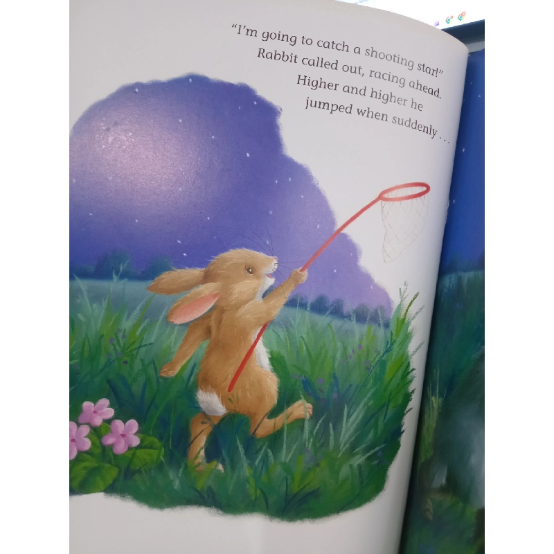 One Starry Night - M. Christina Butler, Tina Macnaughton - Little Tiger Press 994560