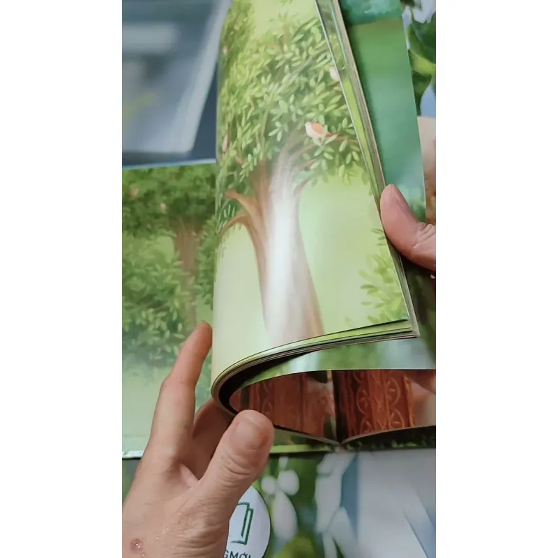 [Tặng nẹp góc] Truyện thiếu nhi Hàn Quốc: Moyamo Anu 55 -  모야모 아누와: 하늘을 나는 배 732059