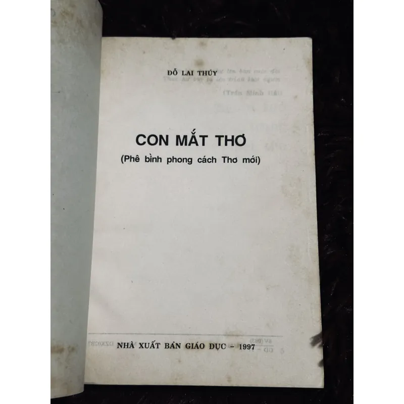 Con mắt thơ - Đỗ Lai Thuý 711336