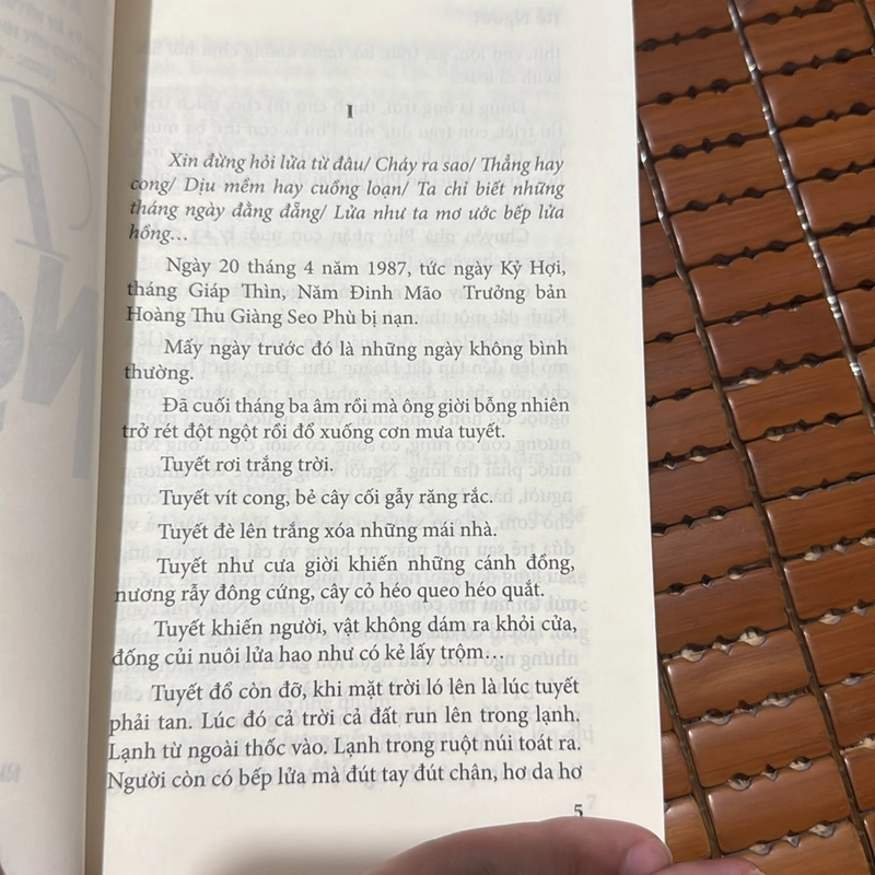 Rễ người - Đoàn Hữu Nam 528735