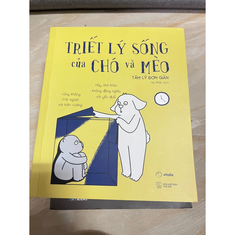 Đồng giá tất cả  473913