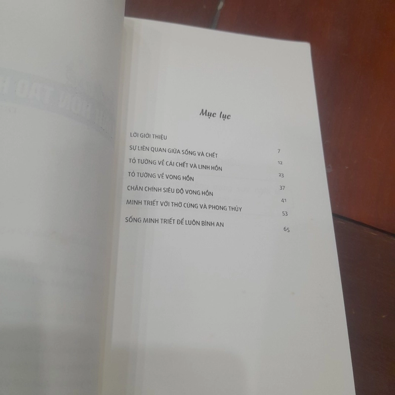 DUY TUỆ - Trở về LINH HỒN TẠO HÓA 475241
