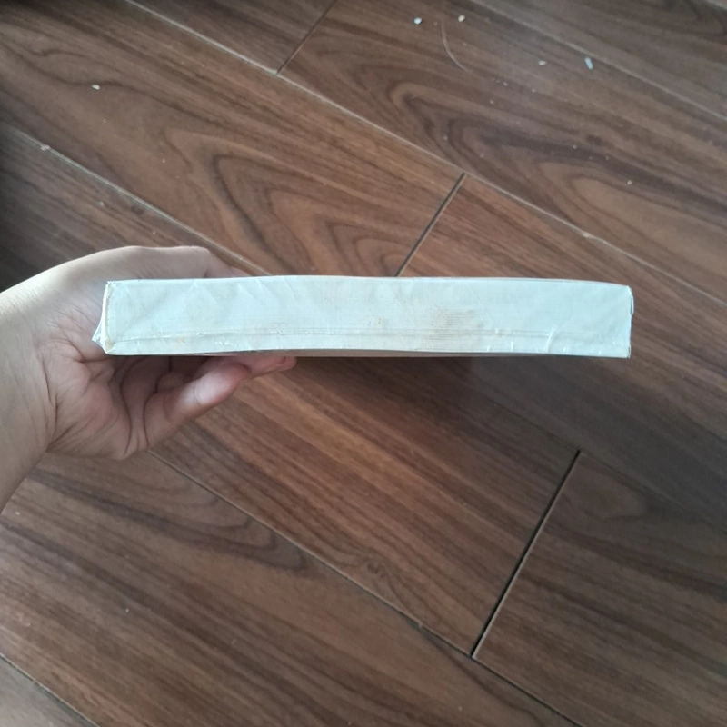 Anh chồng nhỉ đáng yêu của tôi 509978