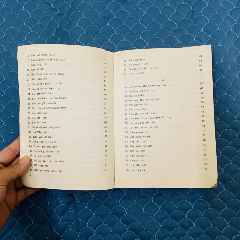 Từ điển lễ tục Việt Nam ( sách hiếm) 1023243