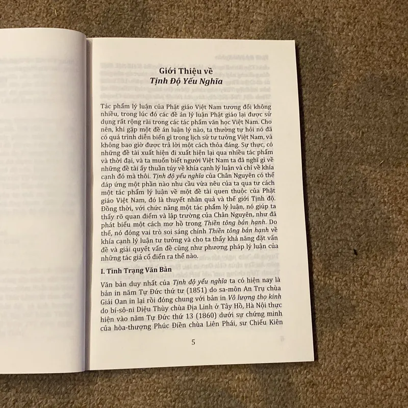 Tịnh Độ Yếu Nghĩa- Soạn: Chân Nguyễn Tuệ Đăng- Dich Chủ: Lê Mạnh Thát 689162