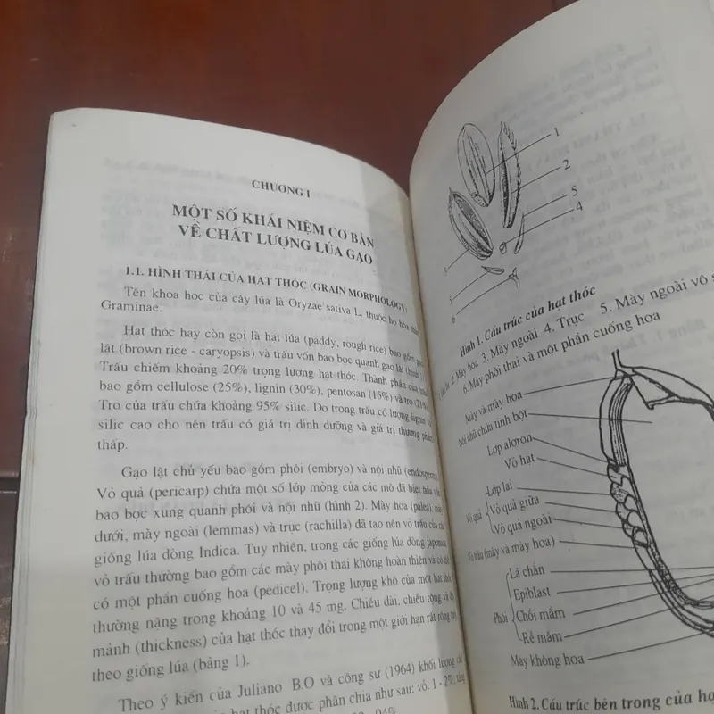 Nâng cao chất lượng lúa gạo phục vụ tiêu dùng và xuất khẩu 732092