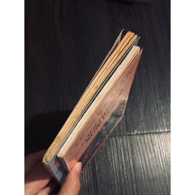 Combo 2 cuốn Bùi Giáng (sách mỏng) 509069