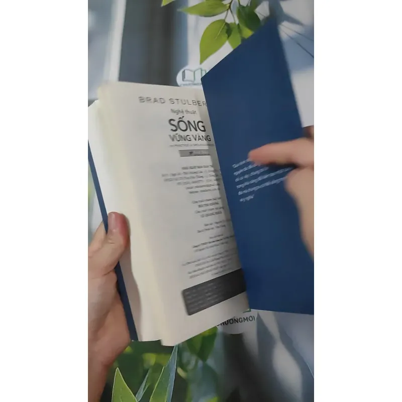 [MIỄN PHÍ BỌC SÁCH] Nghệ Thuật Sống Vững Vàng - Brad Stulberg 961169