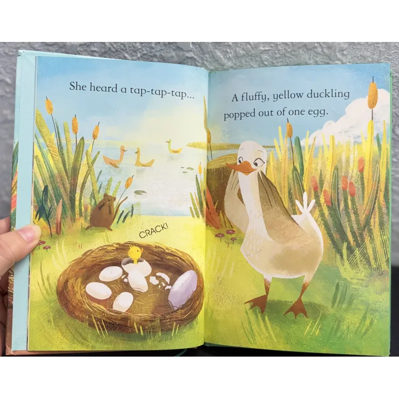 The Ugly Duckling - Vịt con xấu xí 972583