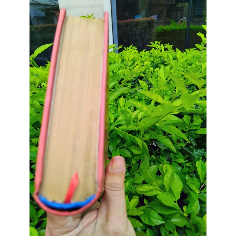 Đỉnh gió hú của Emily Bronte 960820