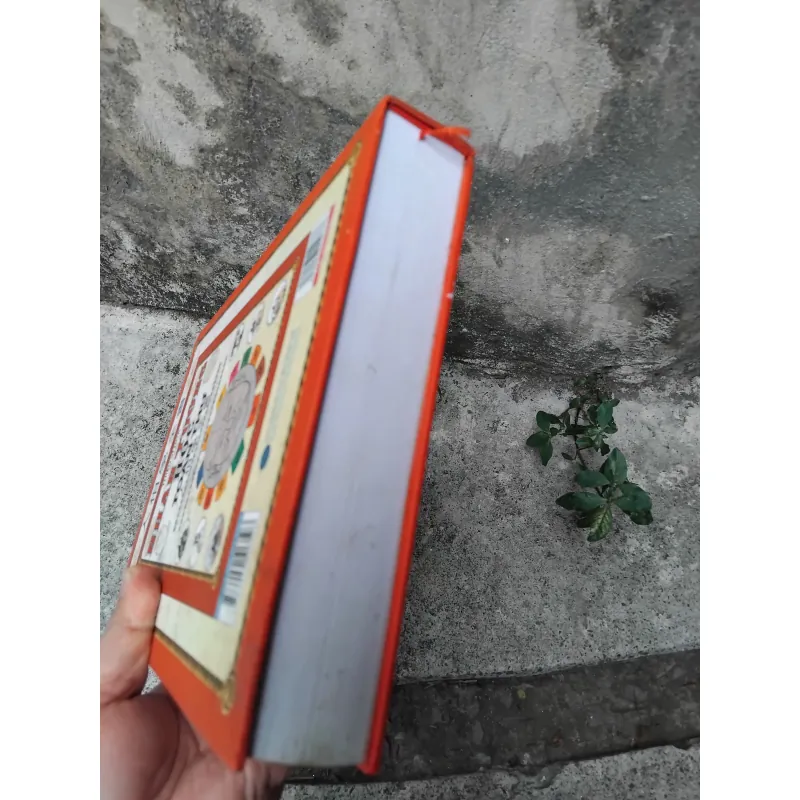 Nhân tướng học tòn thư của Thiệu Vĩ Hoa  1028224