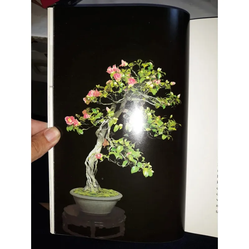 bonsai - Kunio Kobayashi 604214