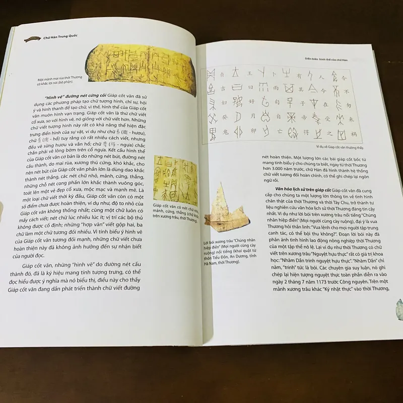 Chữ hán Trung Quốc  695936