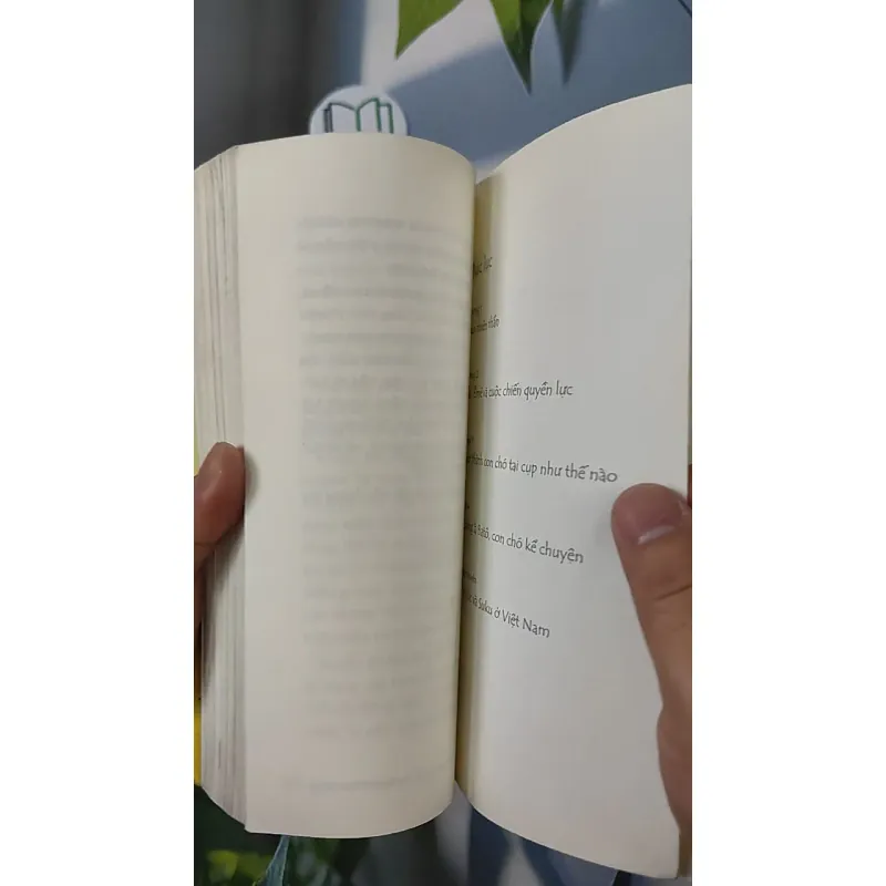 Con Chó Nhỏ Mang Giỏ Hoa Hồng - Nguyễn Nhật Ánh 798348