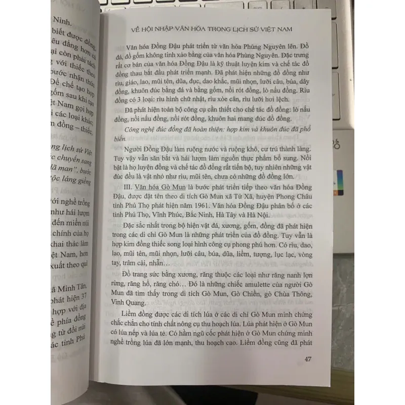 VỀ HỘI NHẬP VĂN HÓA TRONG LỊCH SỬ VIỆT NAM - NGUYỄN DUY HINH & LÊ ĐỨC HẠNH 602726