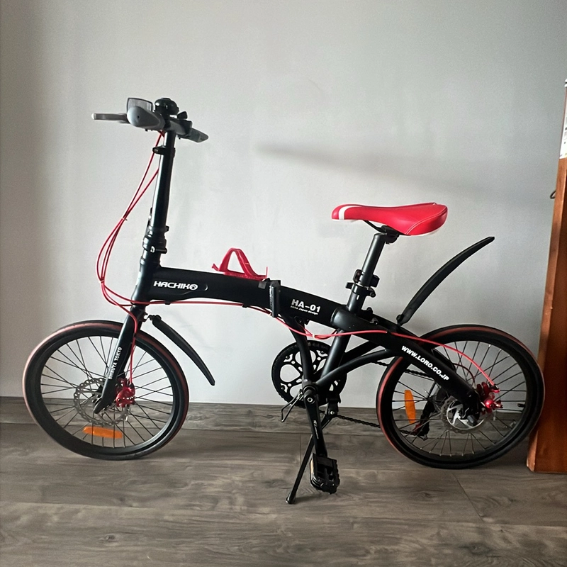 Xe đạp thể thao, gấp được để trong xe hơi 466609