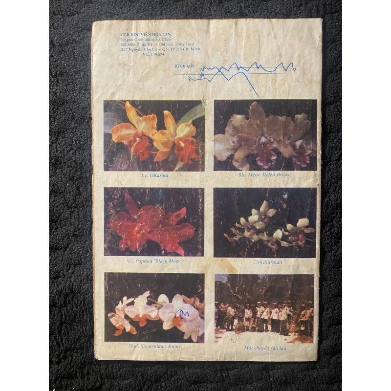 Tìm hiểu Hoa Lan, xuất bản năm 1990. 1046037