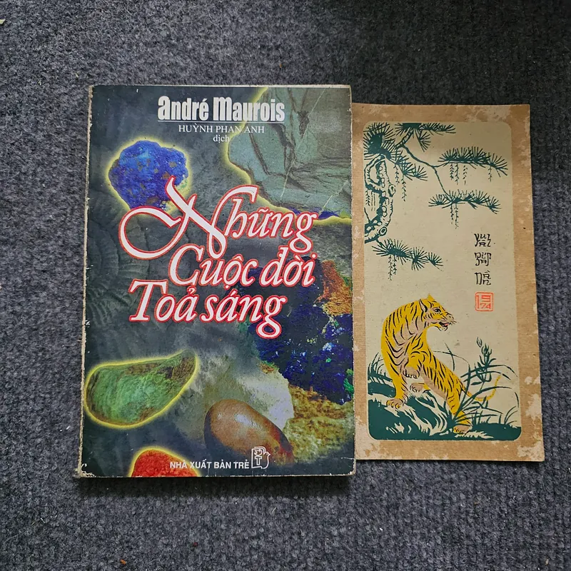 Những cuộc đời tỏa sáng 734012