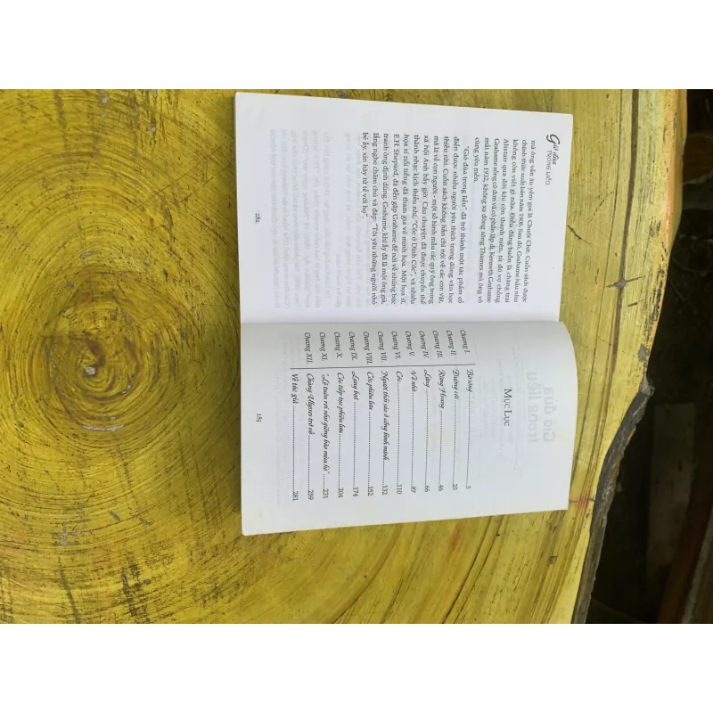 COMBO GIÓ LÙA TRONG LIỄU- 2 VẠN DẶM DƯỚI BIỂN- TÚP LỀU CỦA BÁC TÔM 746645