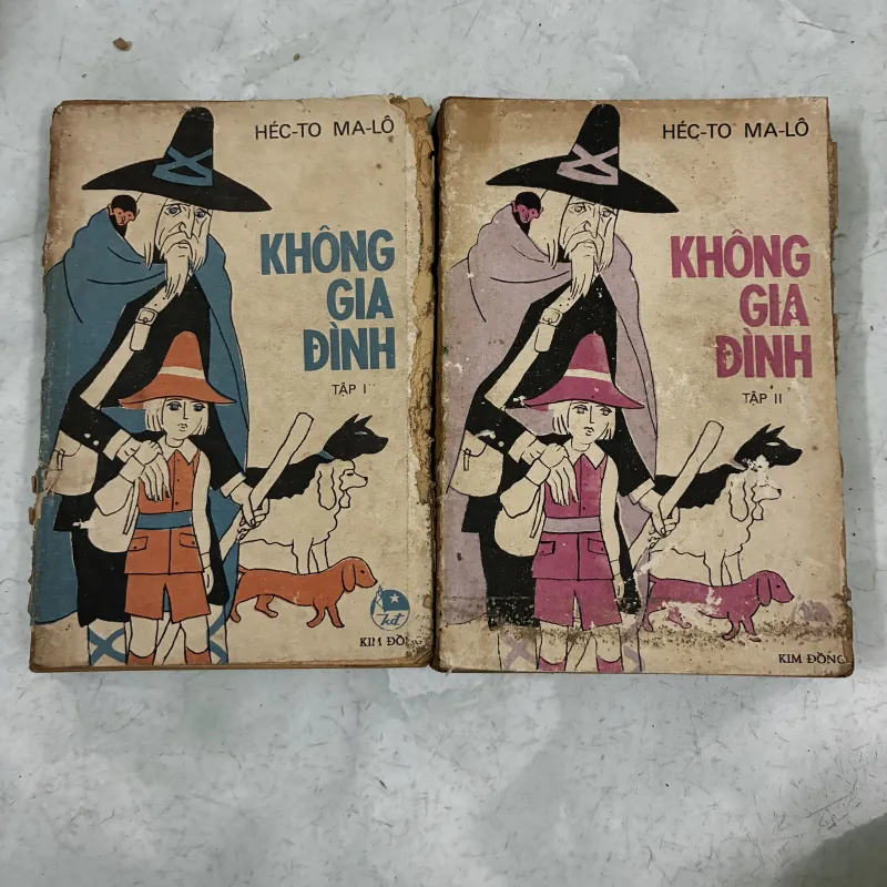 Không gia đình (Bộ 2 tập) 1029720