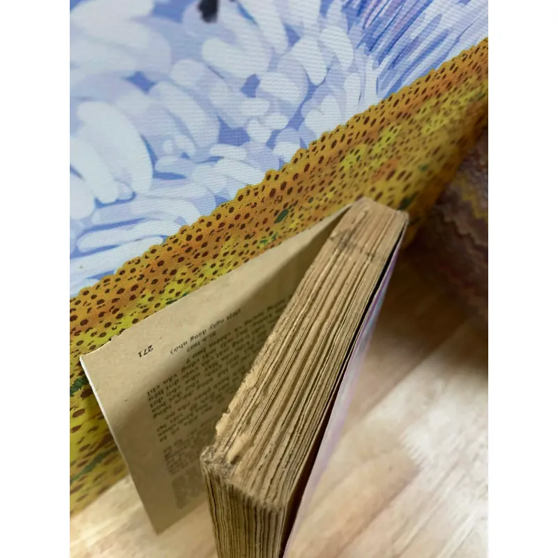 Trăng Mật - Trần Mạnh Hảo 926272