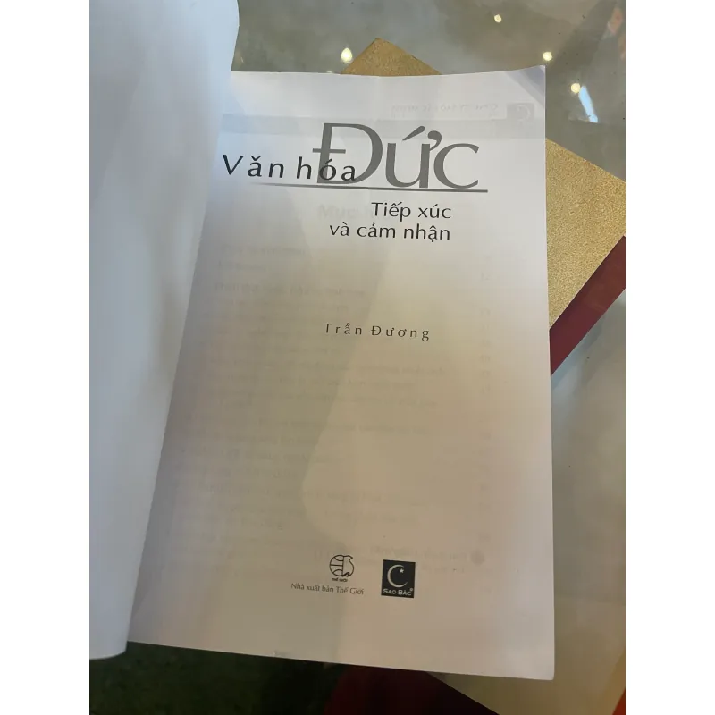 VĂN HOÁ ĐỨC TIẾP XÚC VÀ CẢM NHẬN - TRẦN ĐƯƠNG  1027499