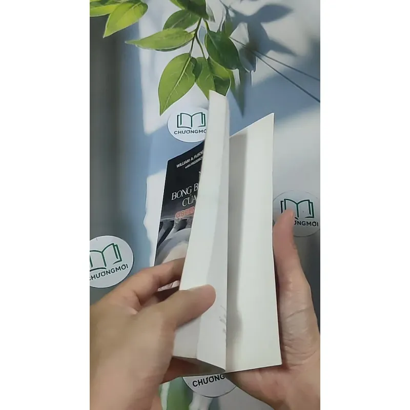 Những bong bóng tài chính của Greenspan - William A Fleckenstein 688565