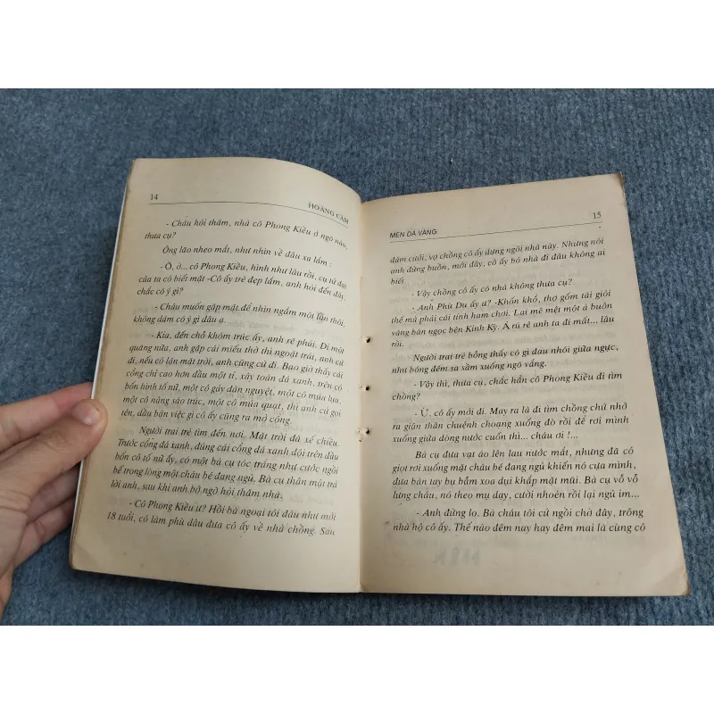 MEN ĐÁ VÀNG - HOÀNG CẦM 701915