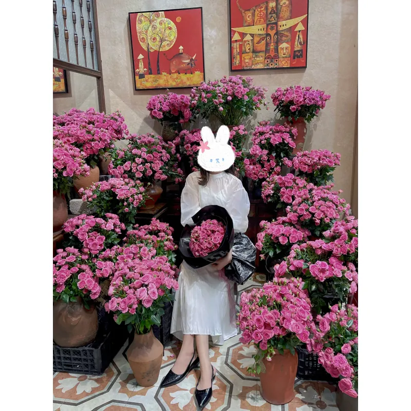 Set váy voan 733840