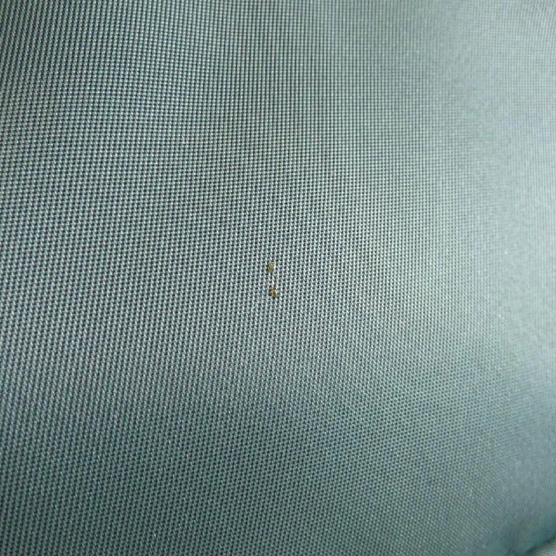 Anya Hindmarch 5050925122948 Ba lô 610880