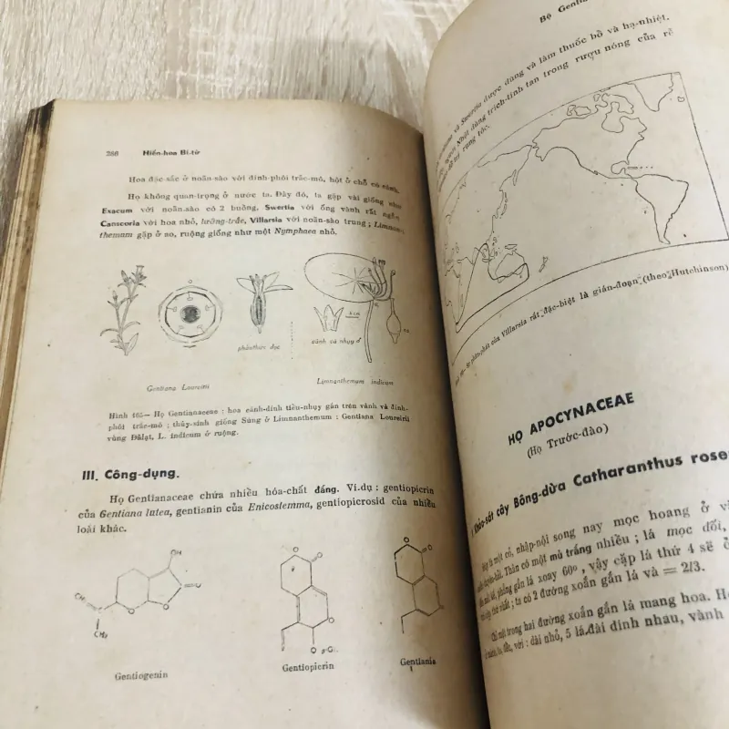 HIỂN HOA BÍ TỬ – Phạm Hoàng Hộ 957307