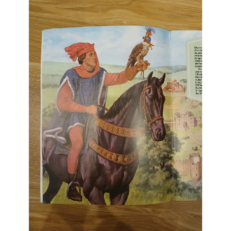 Knights and Castles 547759