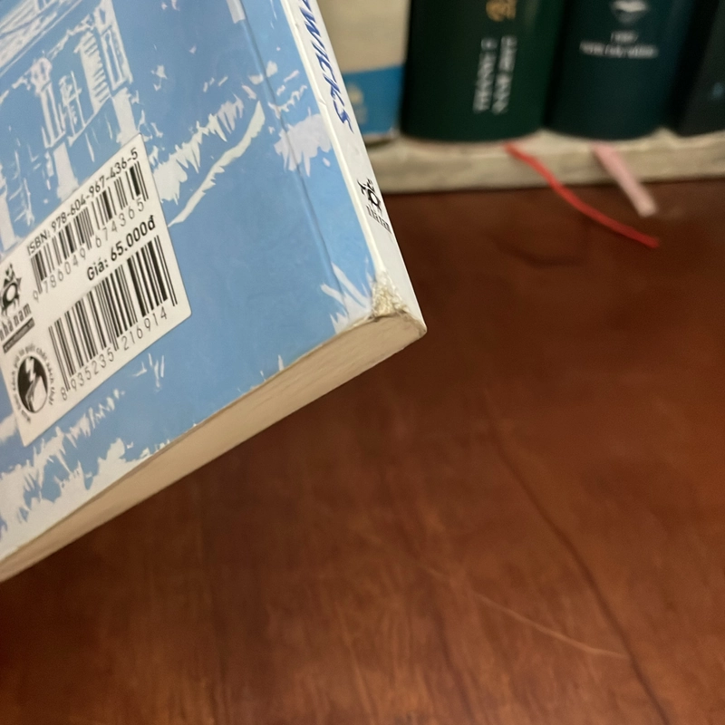 II Giải Thưởng Sách Quốc Gia Mỹ: Lũ Trẻ Nhà Penderwicks - JEANNE BIRDSALL - 2018 545096