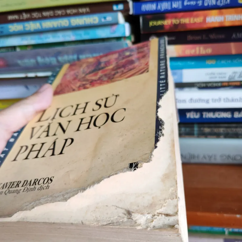 Lịch sử văn học Pháp 1034264